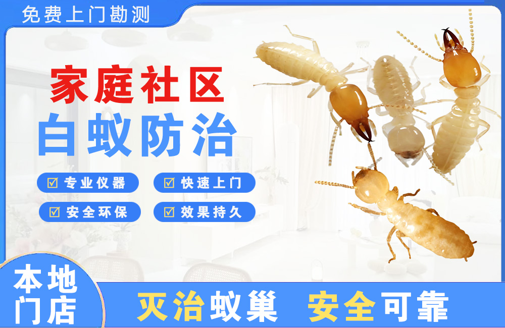 南宁家庭社区白蚁防治