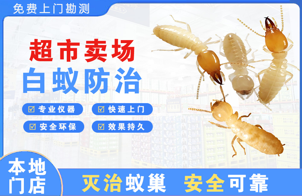 南宁超市卖场白蚁防治