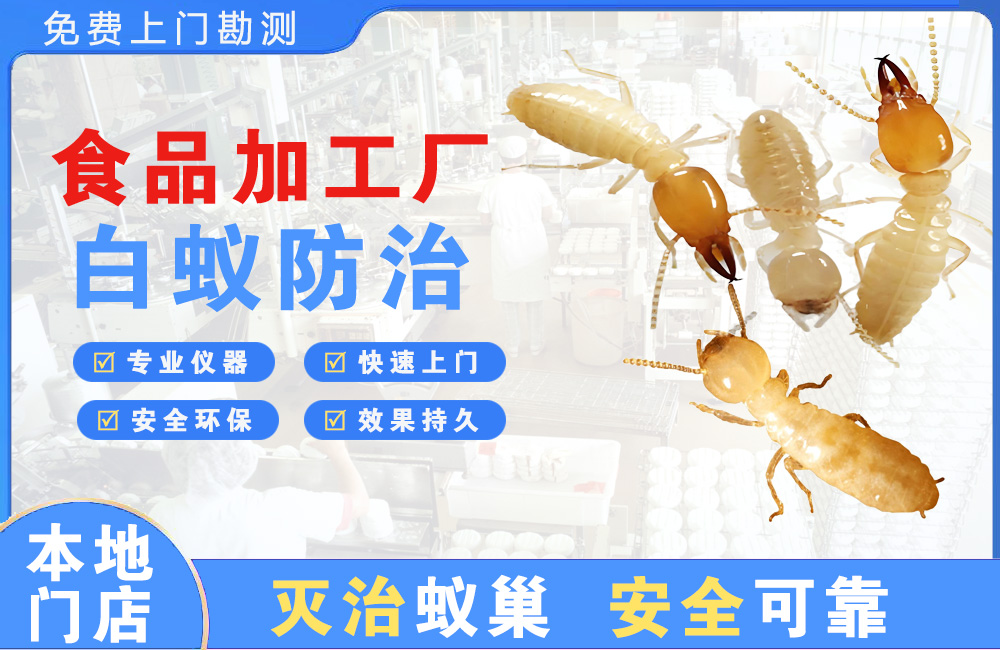 南宁食品加工厂白蚁防治