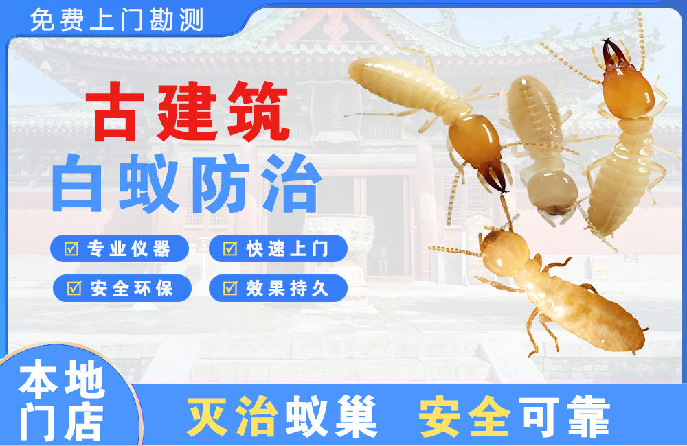 南宁古建筑白蚁防治