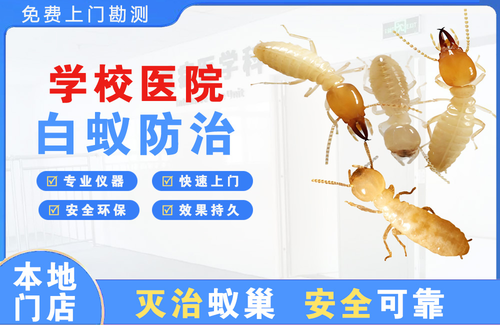 南宁学校医院白蚁防治
