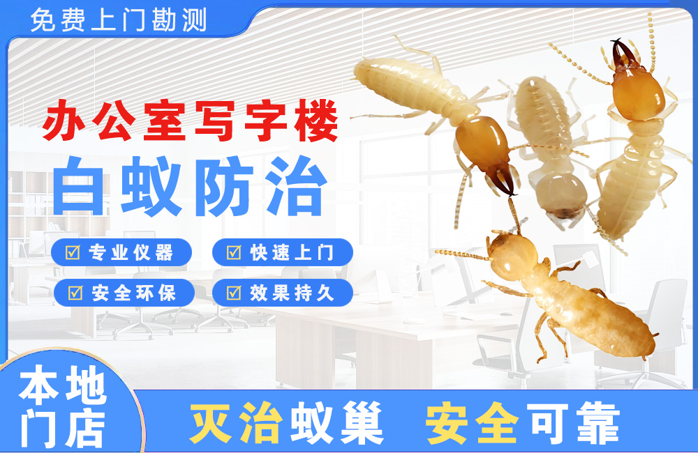 南宁办公室写字楼白蚁防治