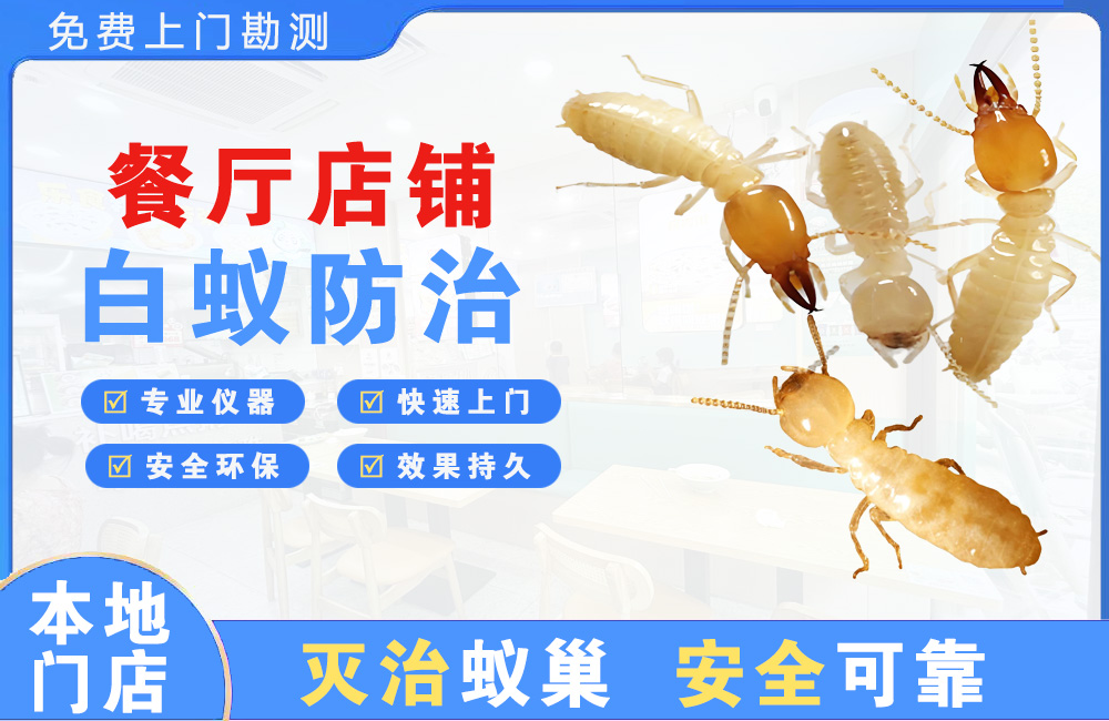南宁餐厅店铺白蚁防治
